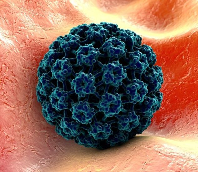 3D μοντέλο του HPV που προκαλεί κονδυλώματα στα χέρια